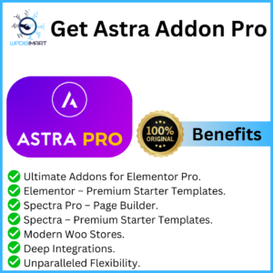 Astra Addon Pro for WP Digi Mart